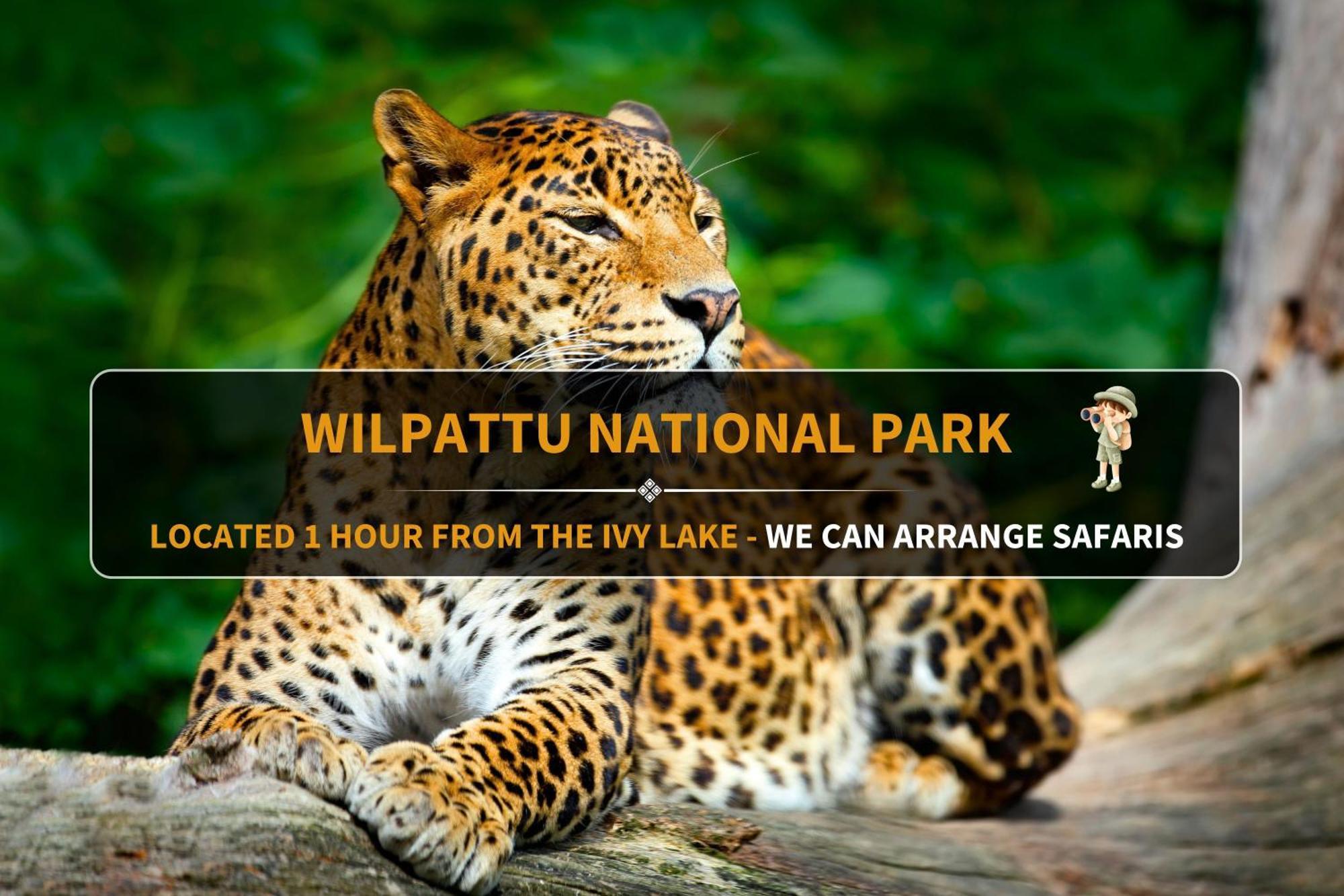 The Ivy Lake Anuradhapura Ngoại thất bức ảnh